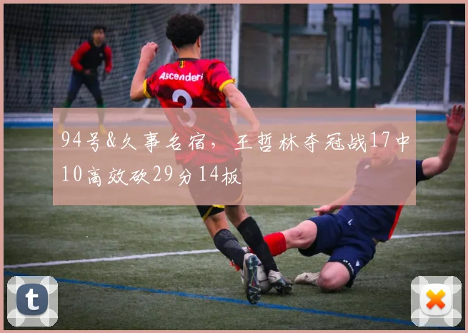 94号&久事名宿，王哲林夺冠战17中10高效砍29分14板
